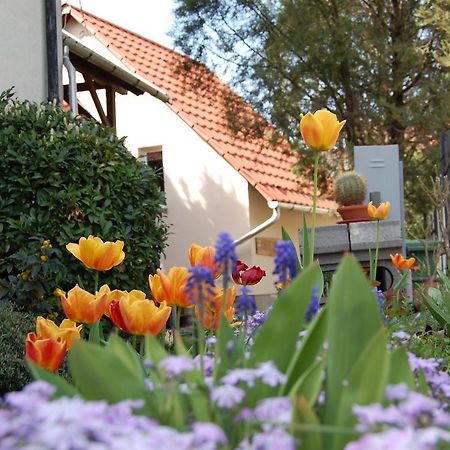Maya Guesthouse Eger Esterno foto
