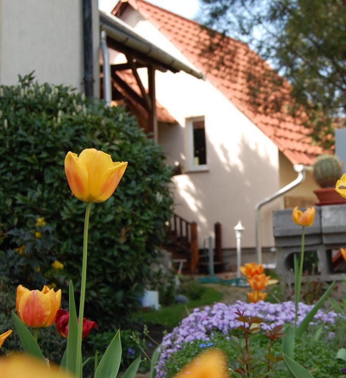 Maya Guesthouse Eger Esterno foto