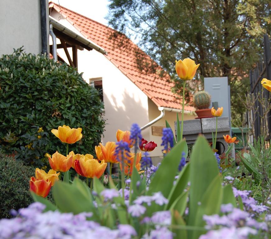 Maya Guesthouse Eger Esterno foto